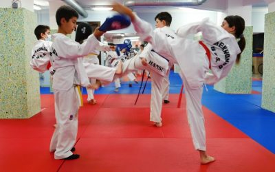 Taekwondo en Mollet, Hansu Escuela de Artes Marciales niños y adultos